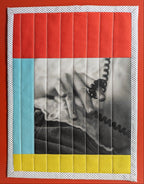 Artistic quilt with a central black and white photo of a hand holding a phone, surrounded by colorful borders on a red background.